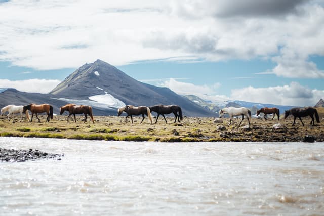 Landmannalaugar-iceland 16