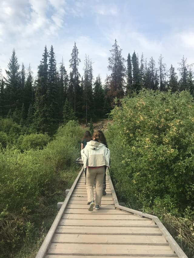 Canadian Rockies Tours 7 Days 11