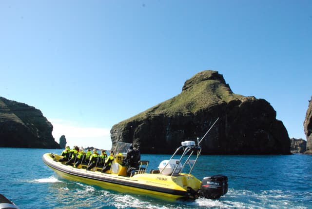 Westmann-islands-rib-boat-tour 1