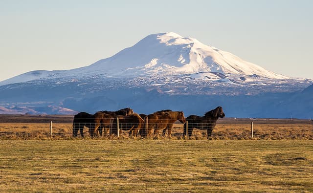 t-horses-hekla-volcano-iceland