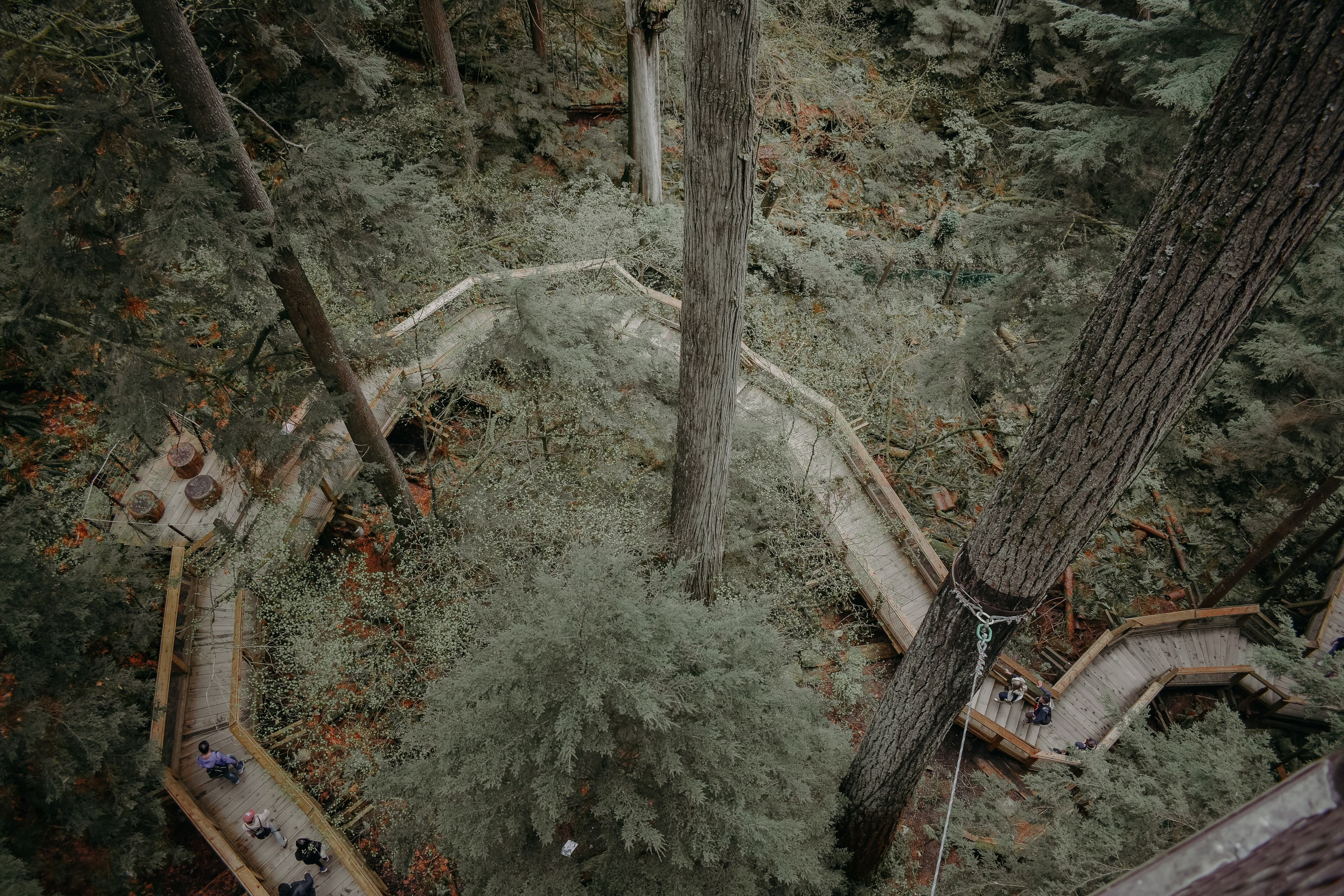 3-hiking-vancouver-island-trails