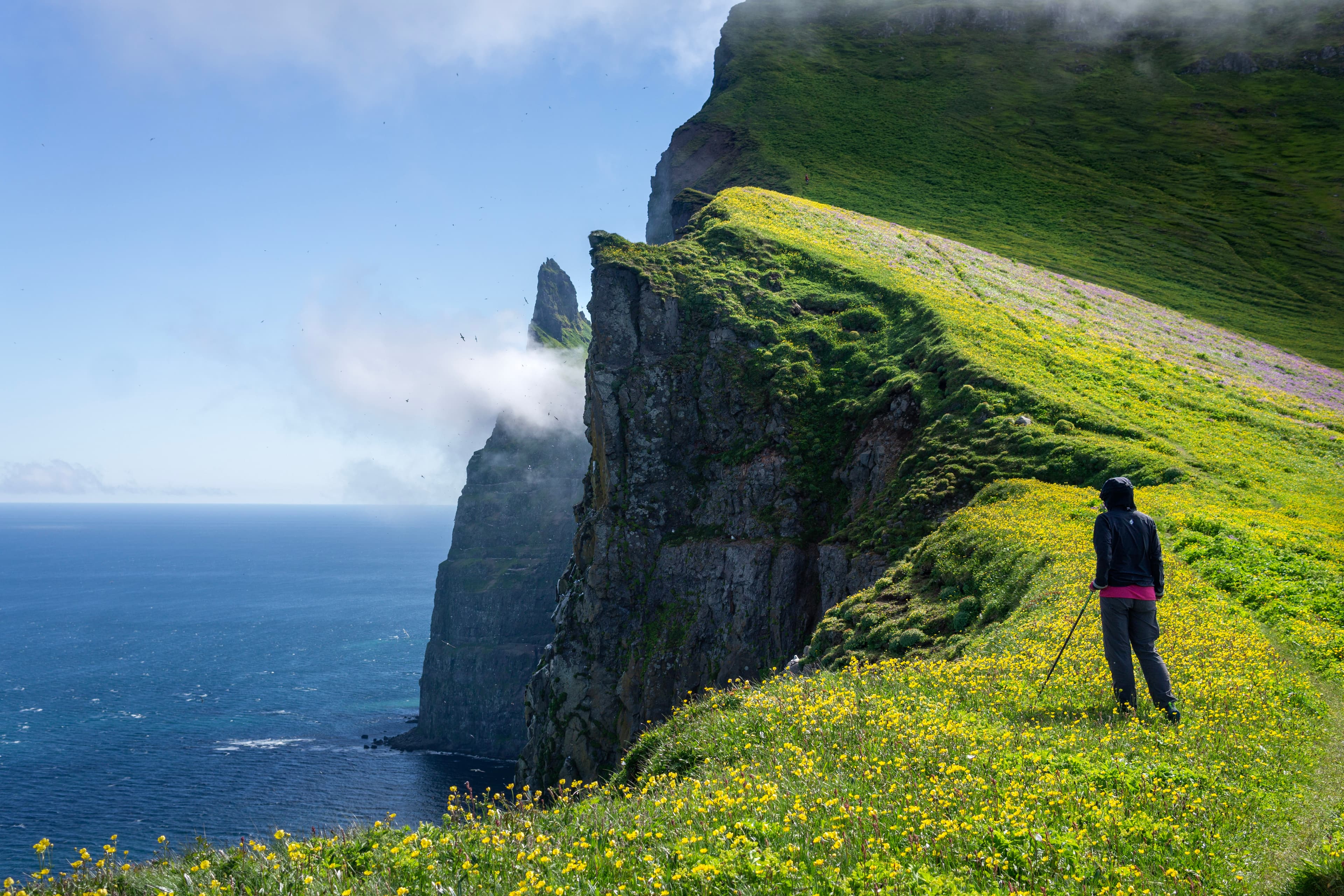 iceland-westman-islands