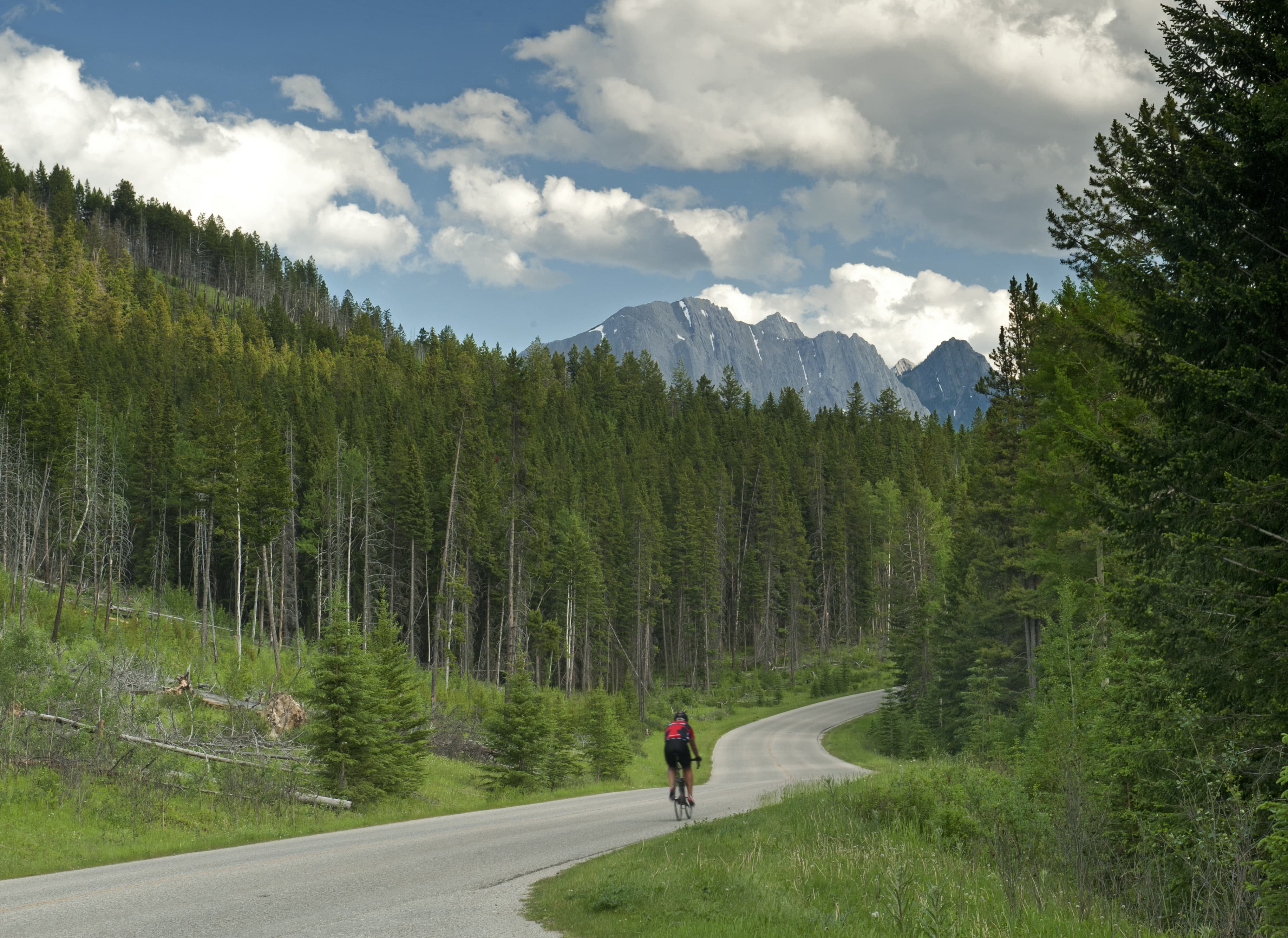 Mountain Road