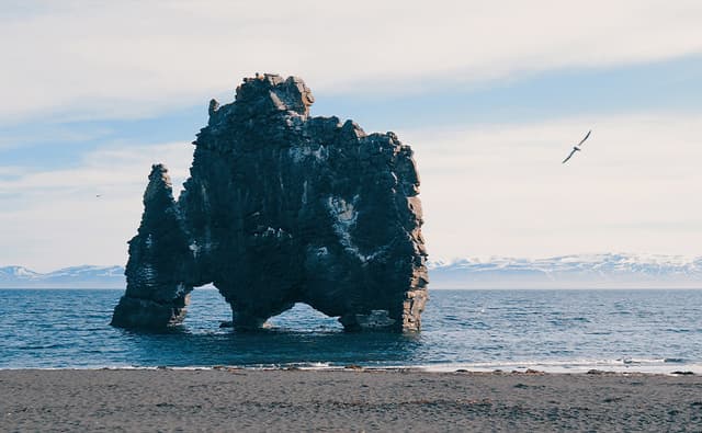 t-hvitserkur
