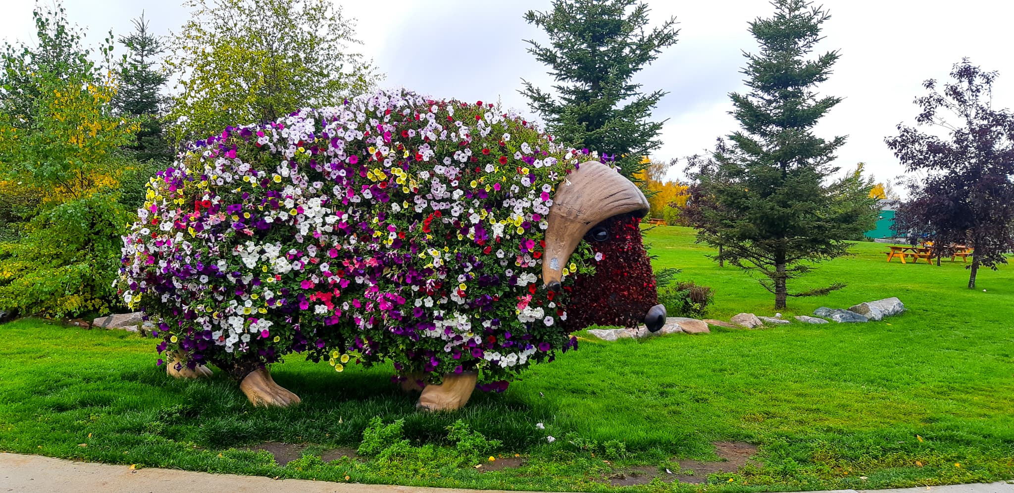 Yellowknife Sightseeing City Tour 01