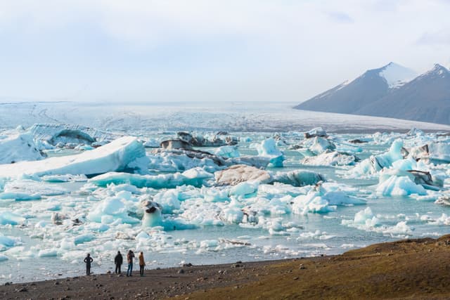 Jokulsarlon-glacier-lagoon-11