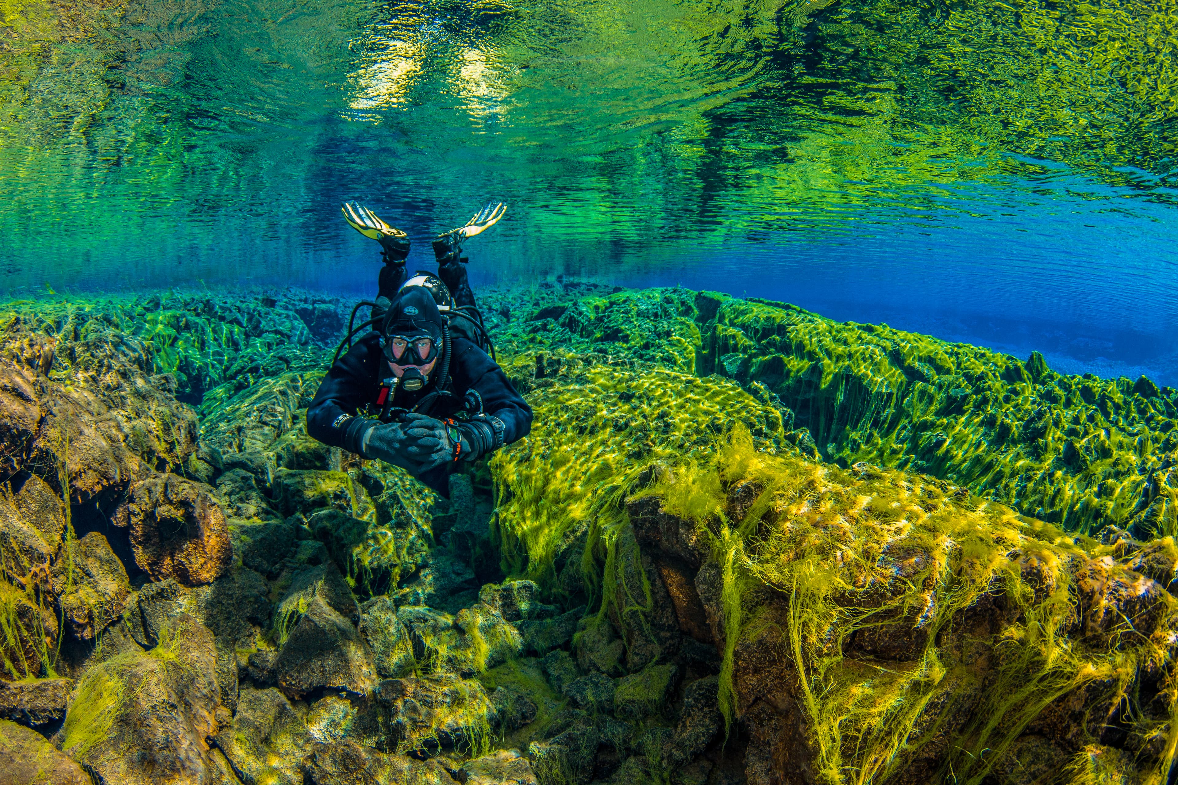 diving-silfra-iceland (7)
