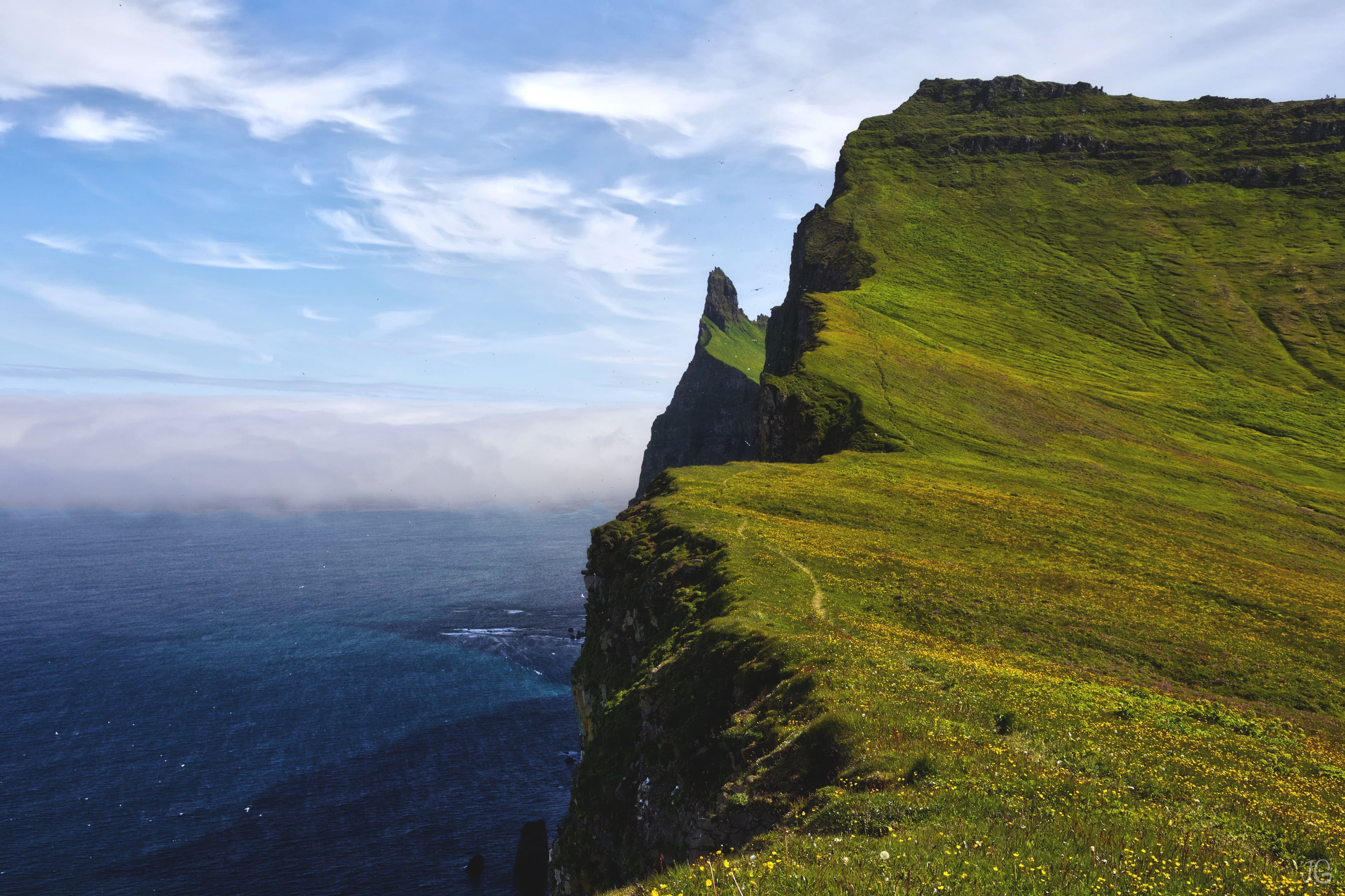 Hornstrandir-Westfjords-Iceland