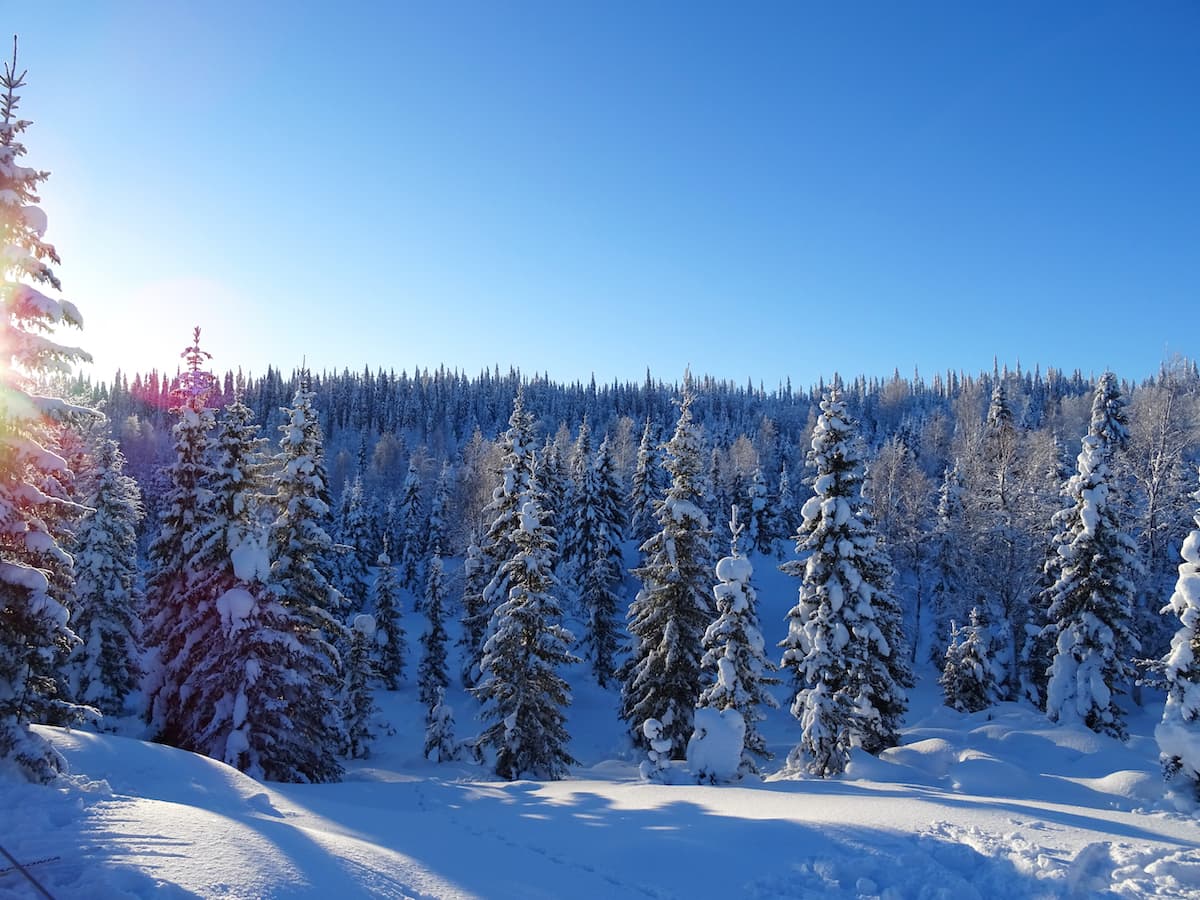 winter-wonderland-in-finland