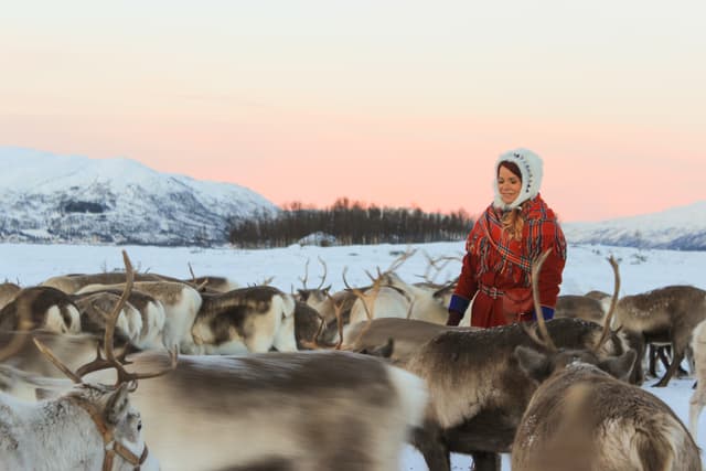 Woman-surrounded-by-reindeers