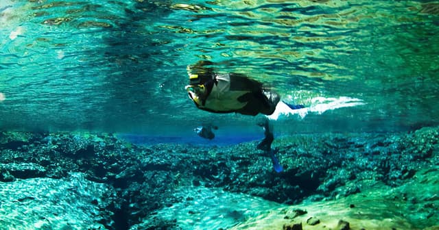 m-beginner-guide-to-snorkeling
