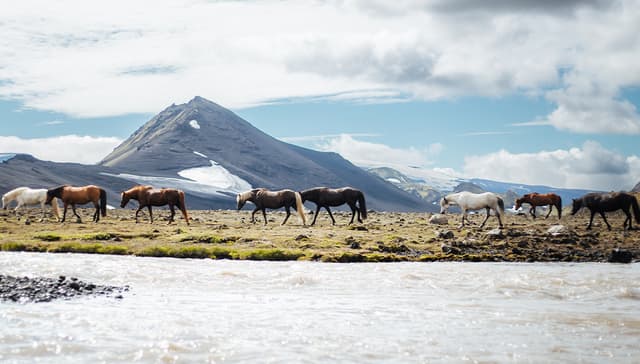 4-day-laugavegur-1200x628-04