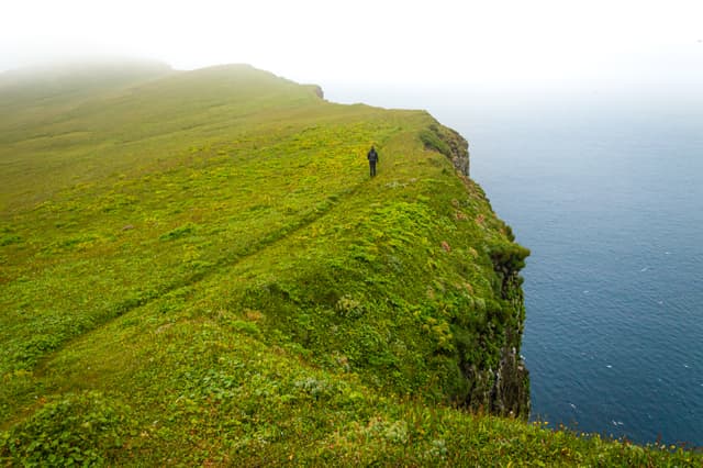 hornstrandir-iceland-19