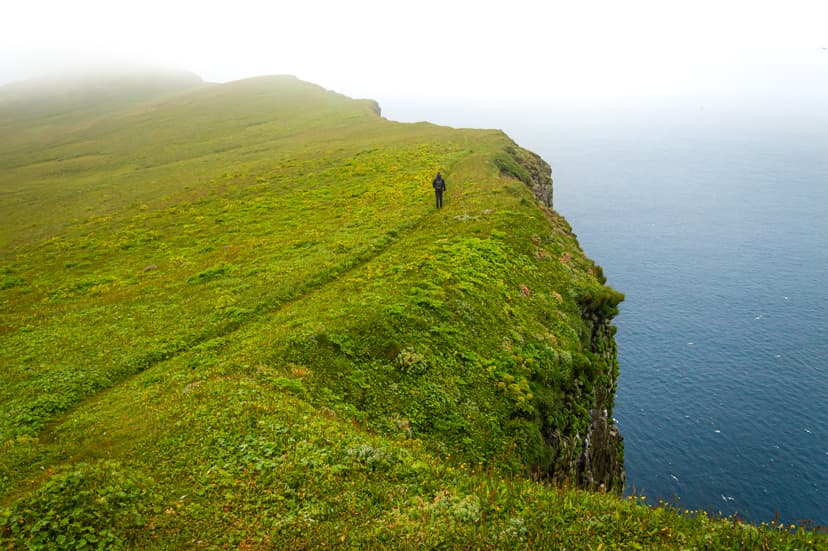 hornstrandir-iceland-19