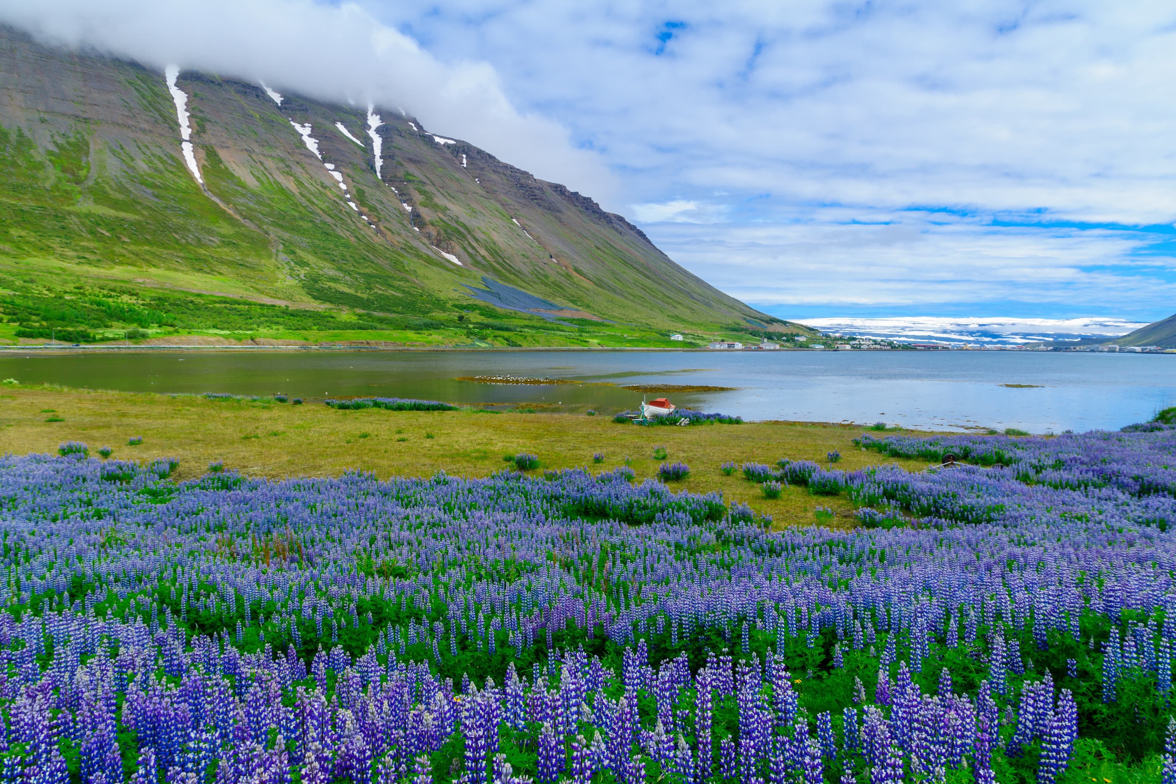 Westfjords-Iceland