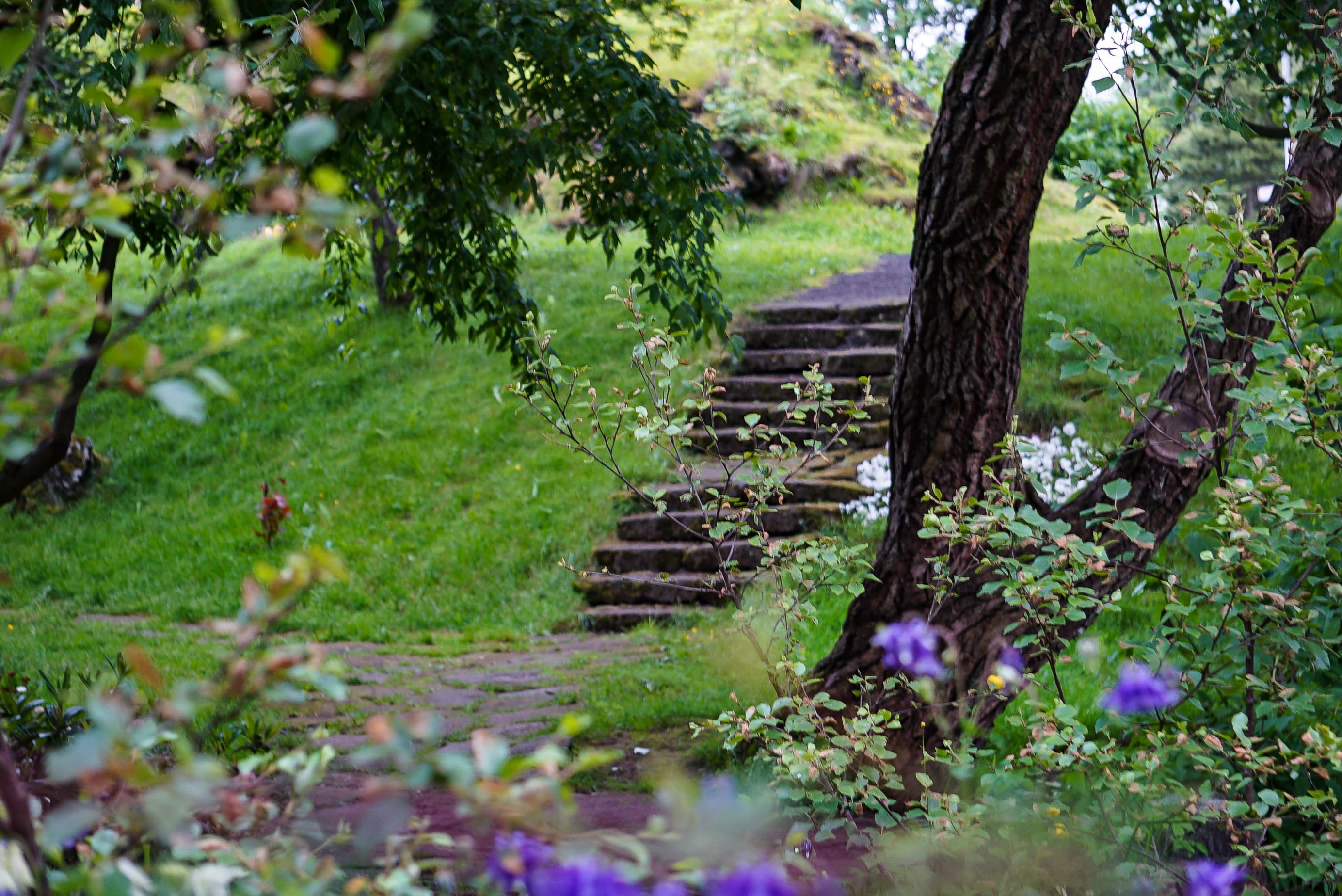 park-hafnafjordur-01282
