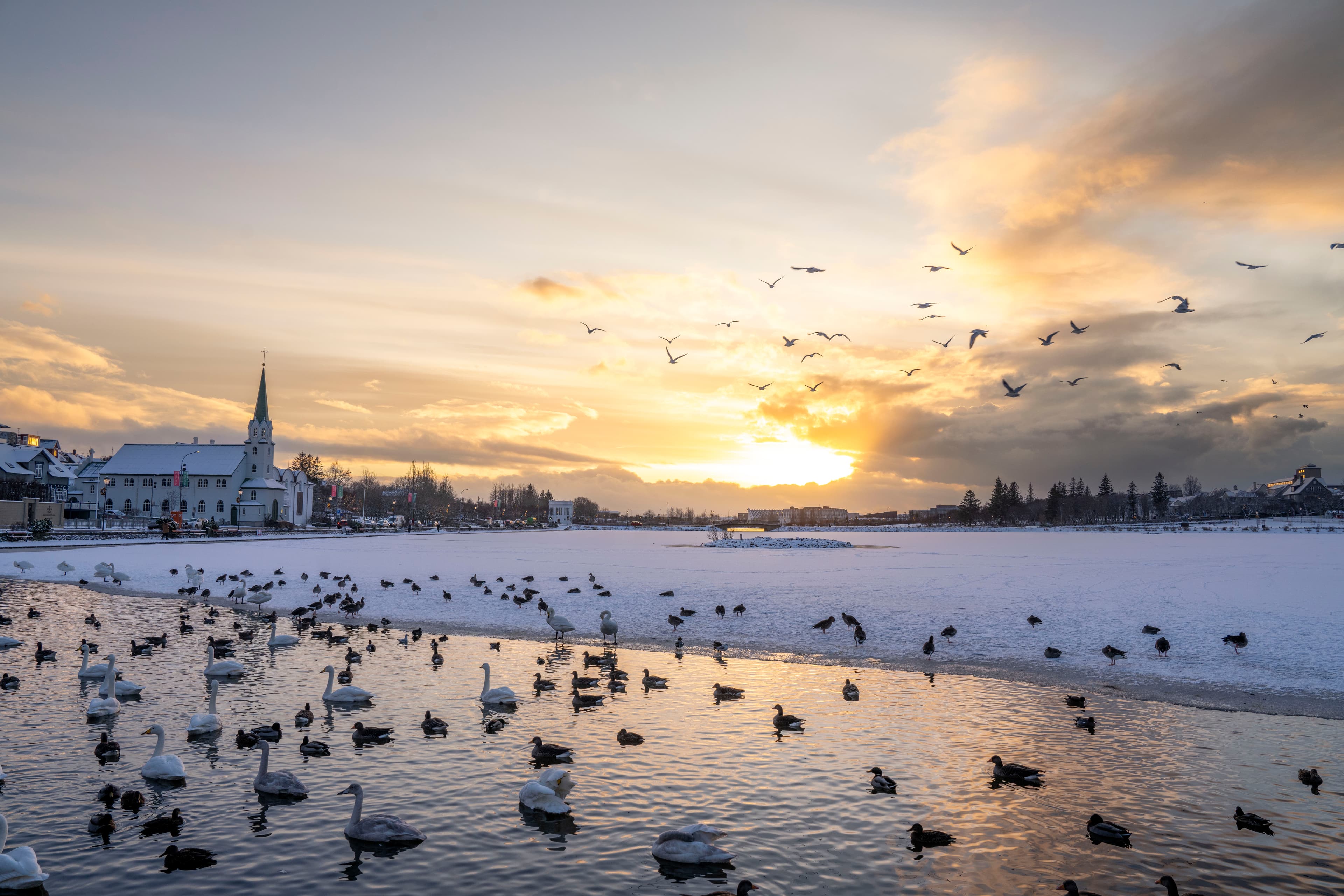 reykjavik-city-christmas