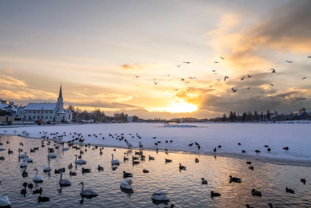 reykjavik-city-christmas