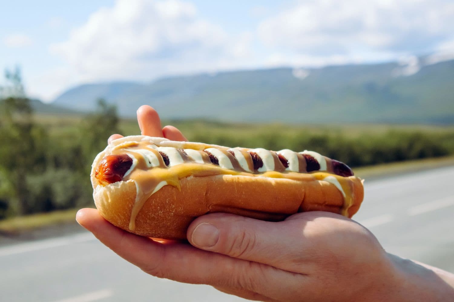 hand-holding-icelandic-hotdog