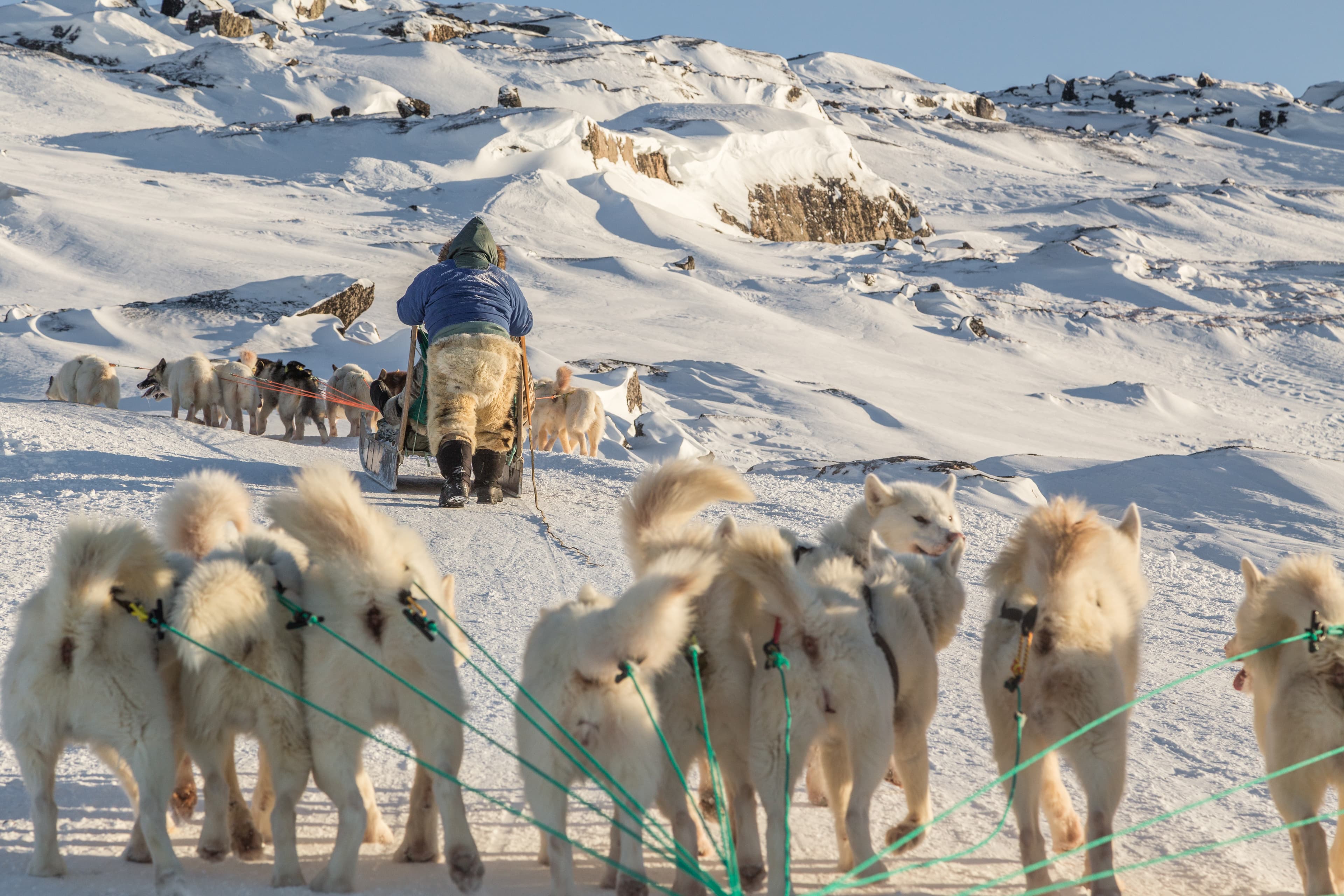 Dogsledding out of Ilulissat