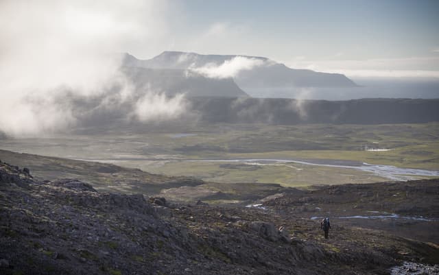 Hornstrandir-Westfjords-Iceland