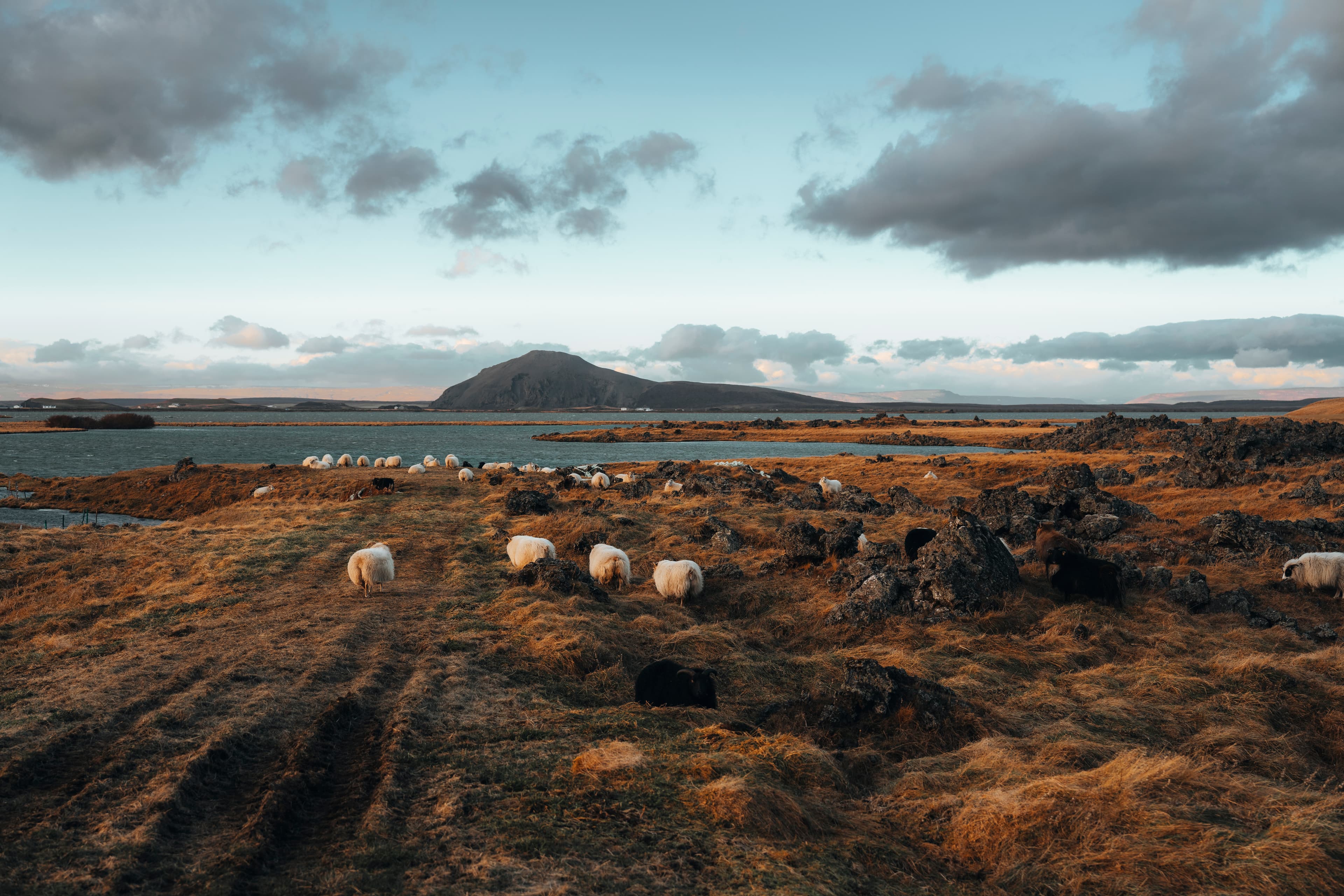 myvatn-lake
