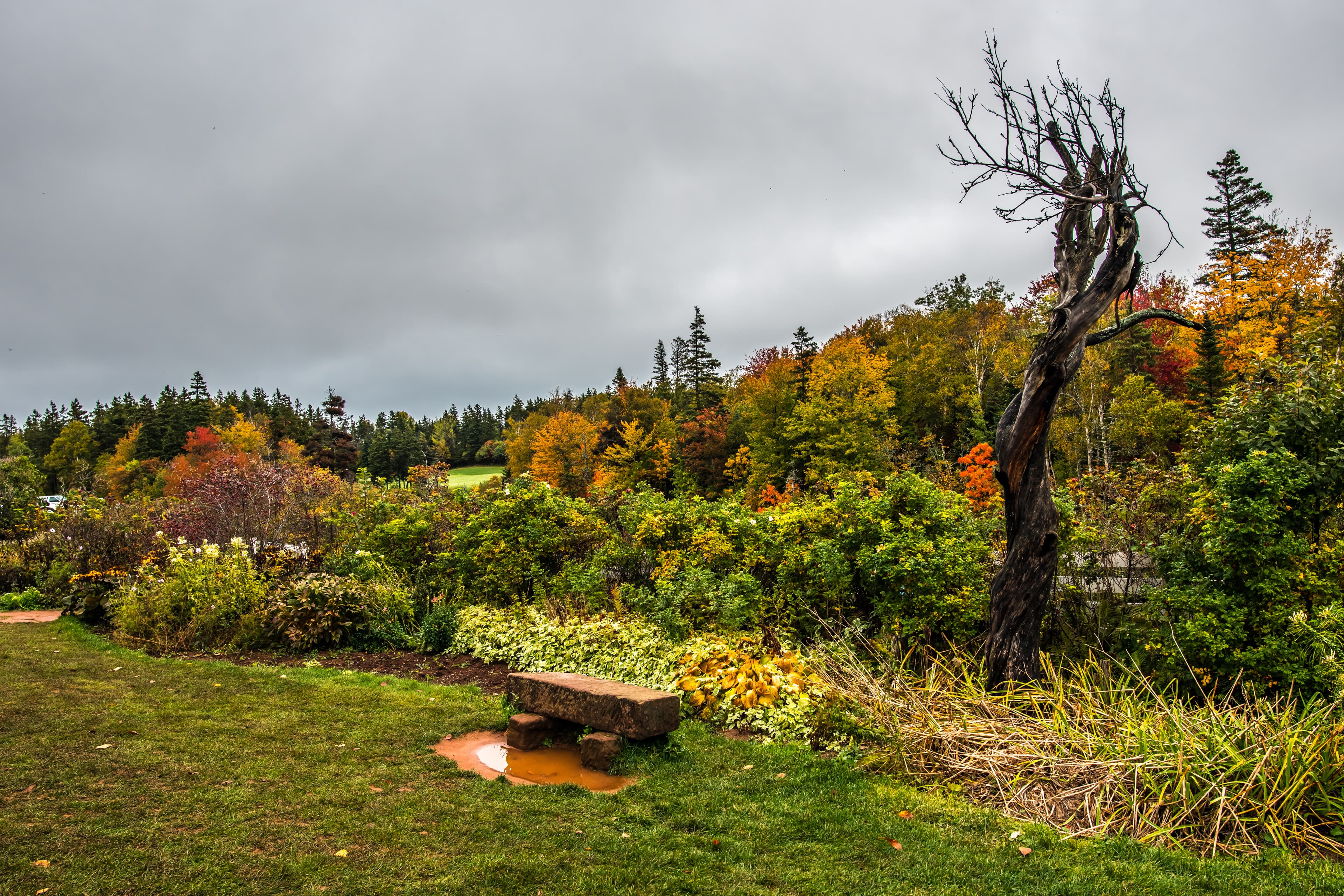 Prince Edward Island Autumn