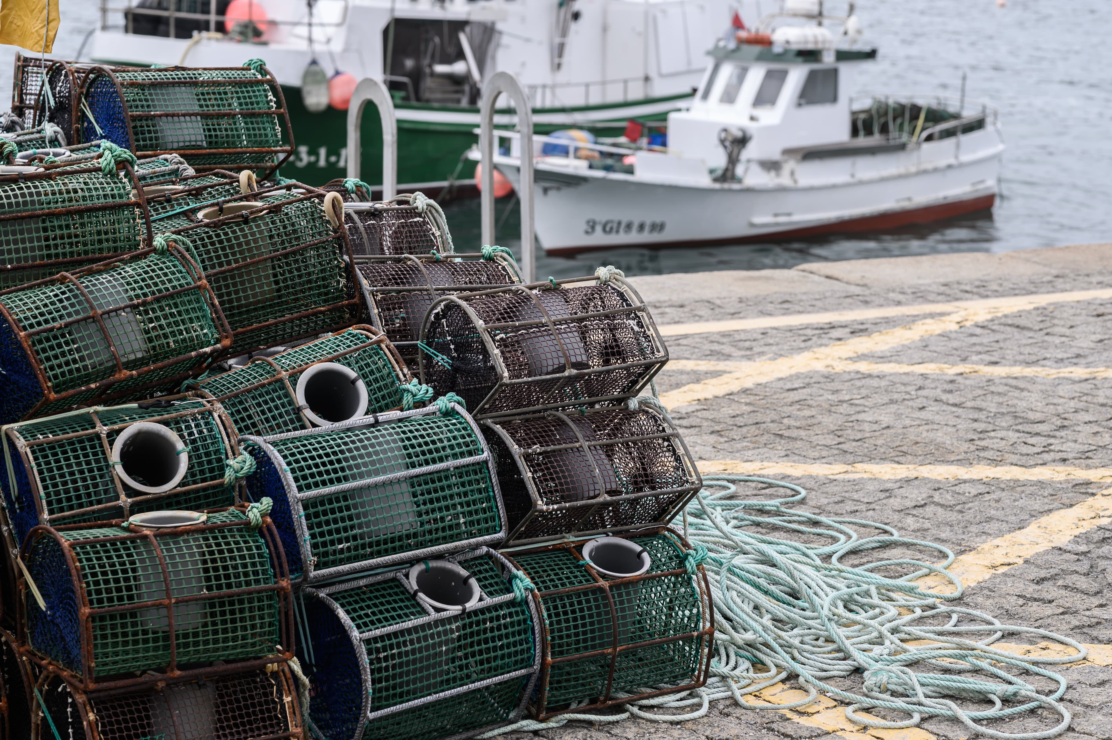 Lobster Case