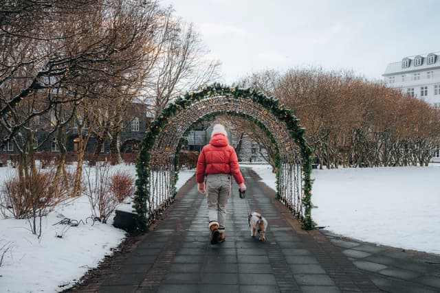 reykjavik-city-christmas