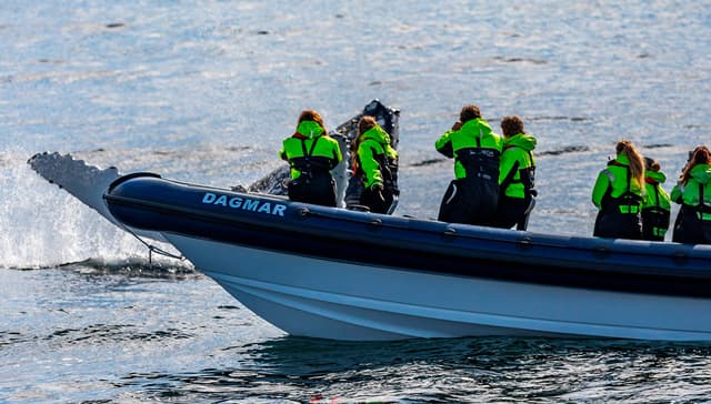 rib-boat-from-dalvik-1200x628