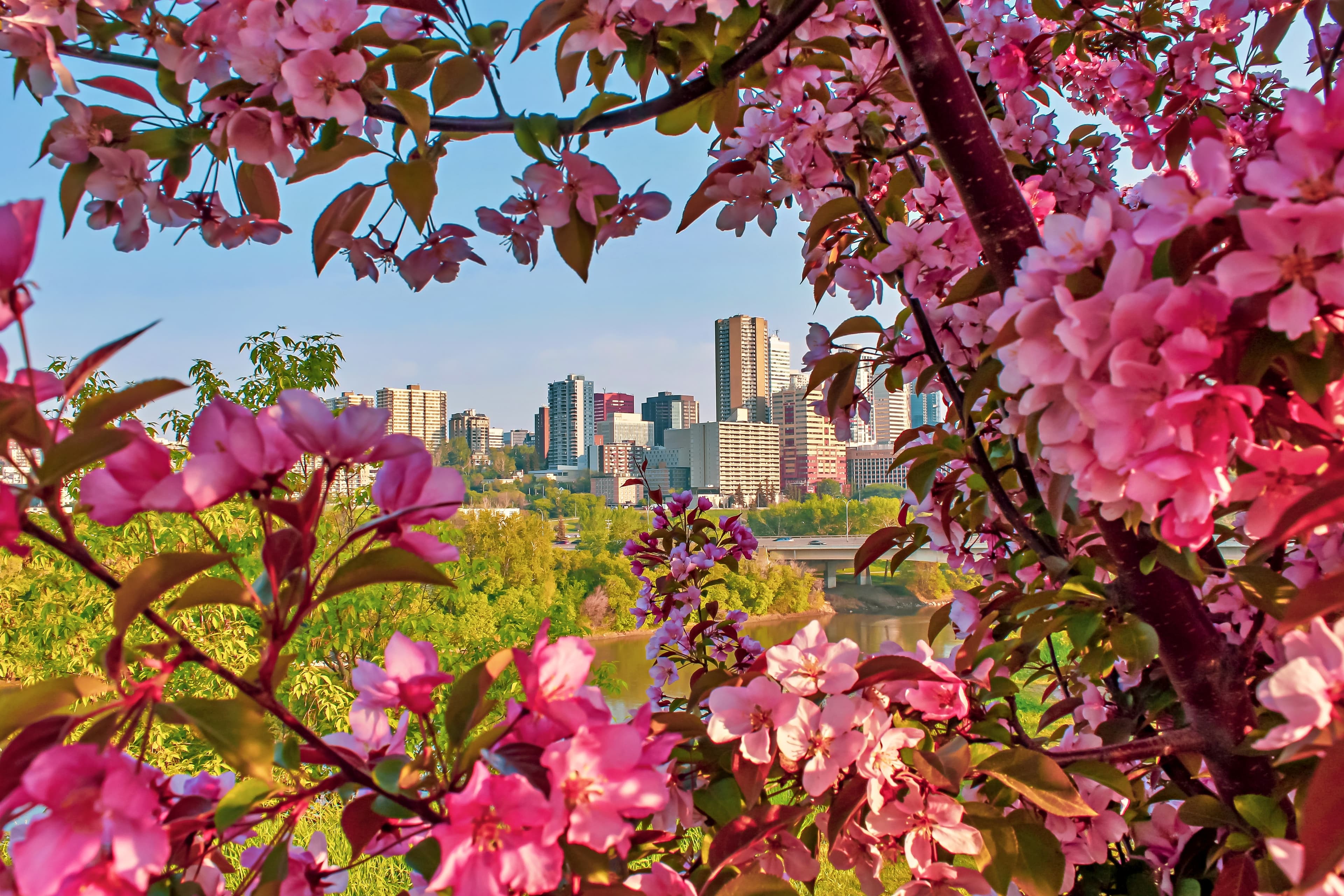 Edmonton City Attraction 5