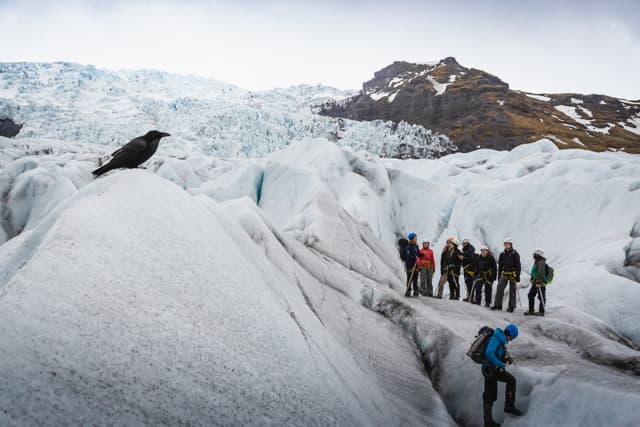 Glacier Hike Falljökull
