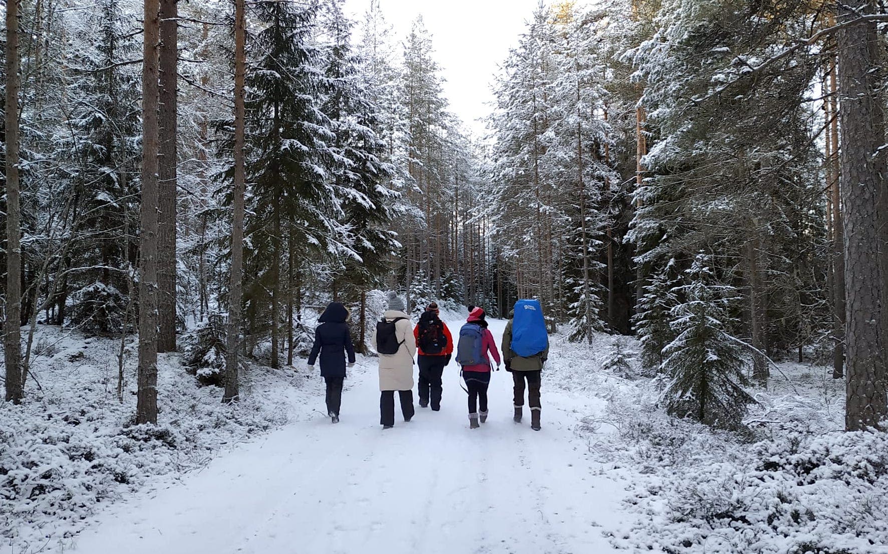 winter-wonderland-tourist-group