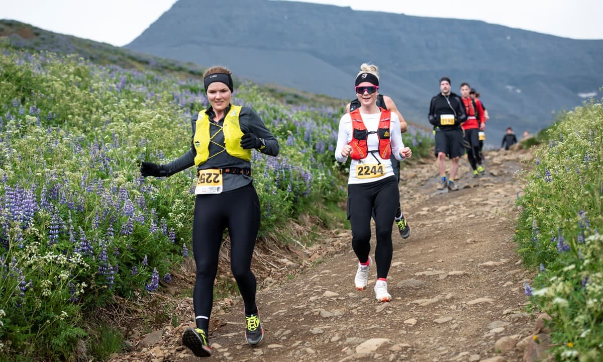 mountain-esja-ultra-marathon-iceland