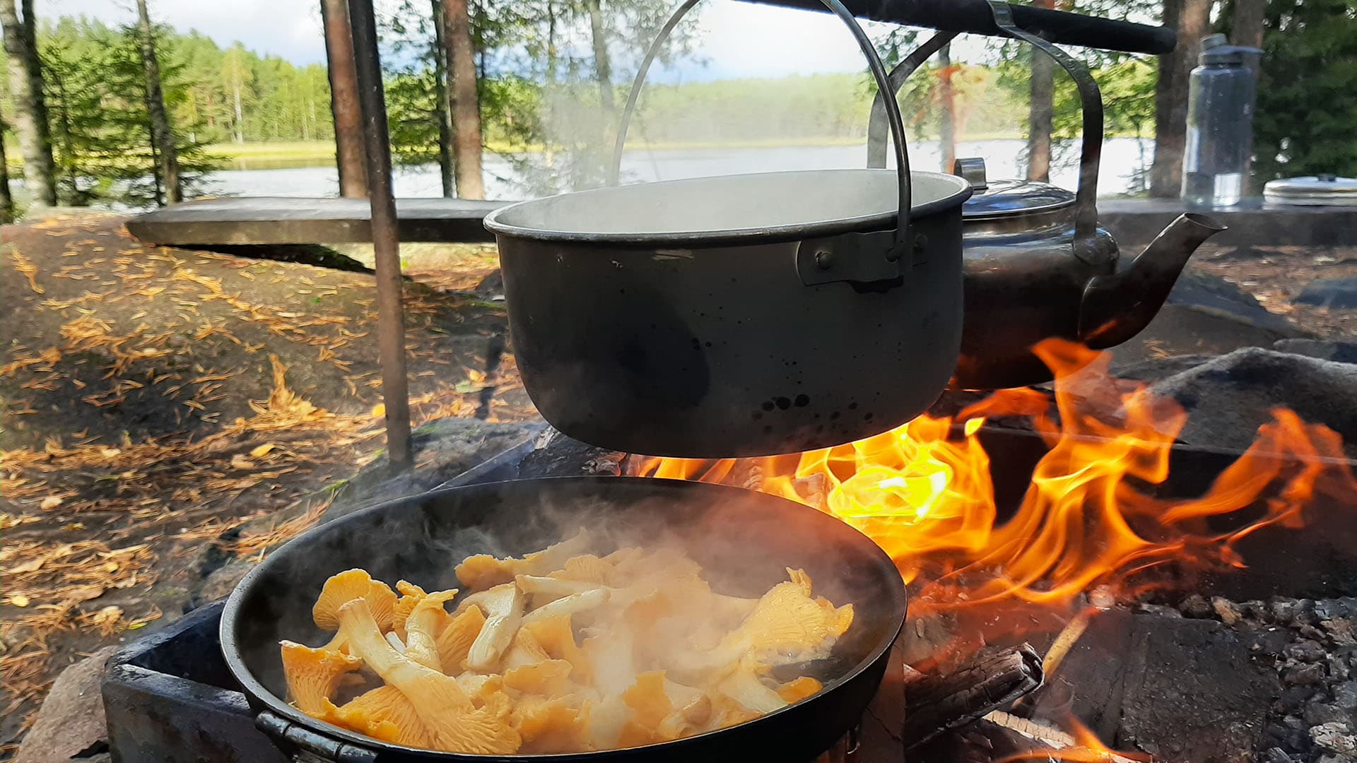 mushroom-cooking-with-a-group-tour