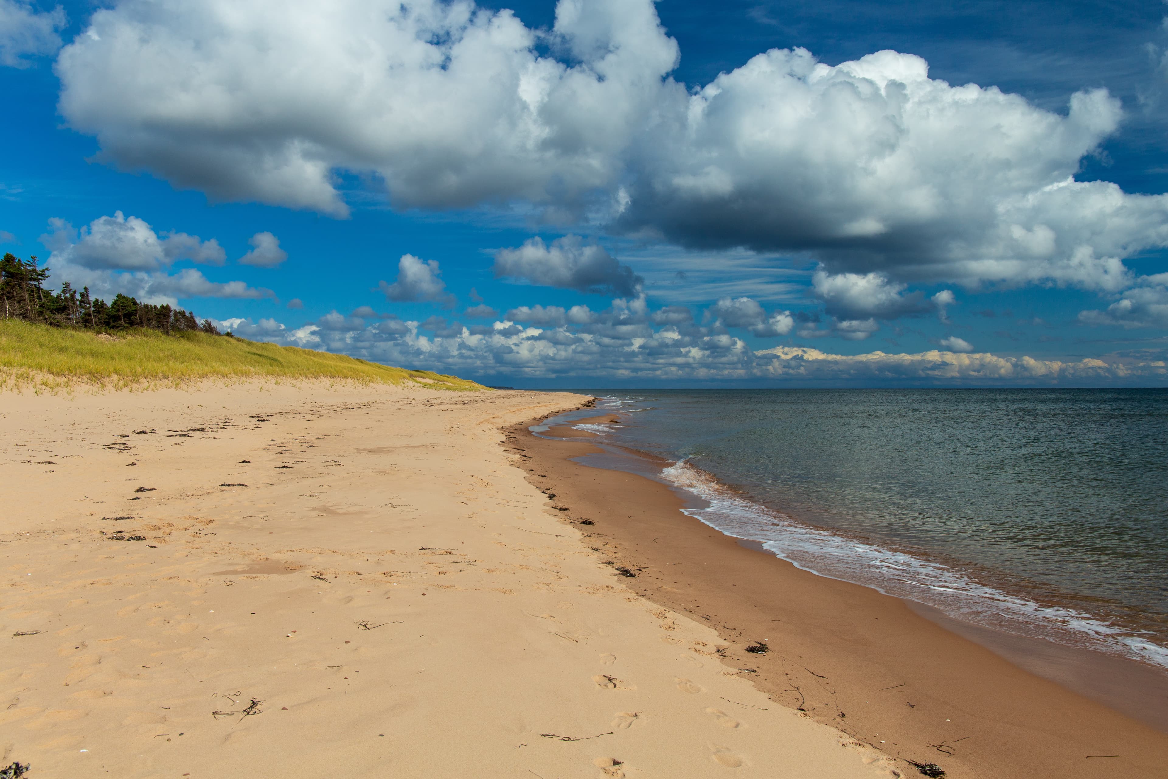 Basin Head Provincial Park beach