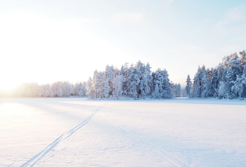 winter-wonderland-beautiful-forest