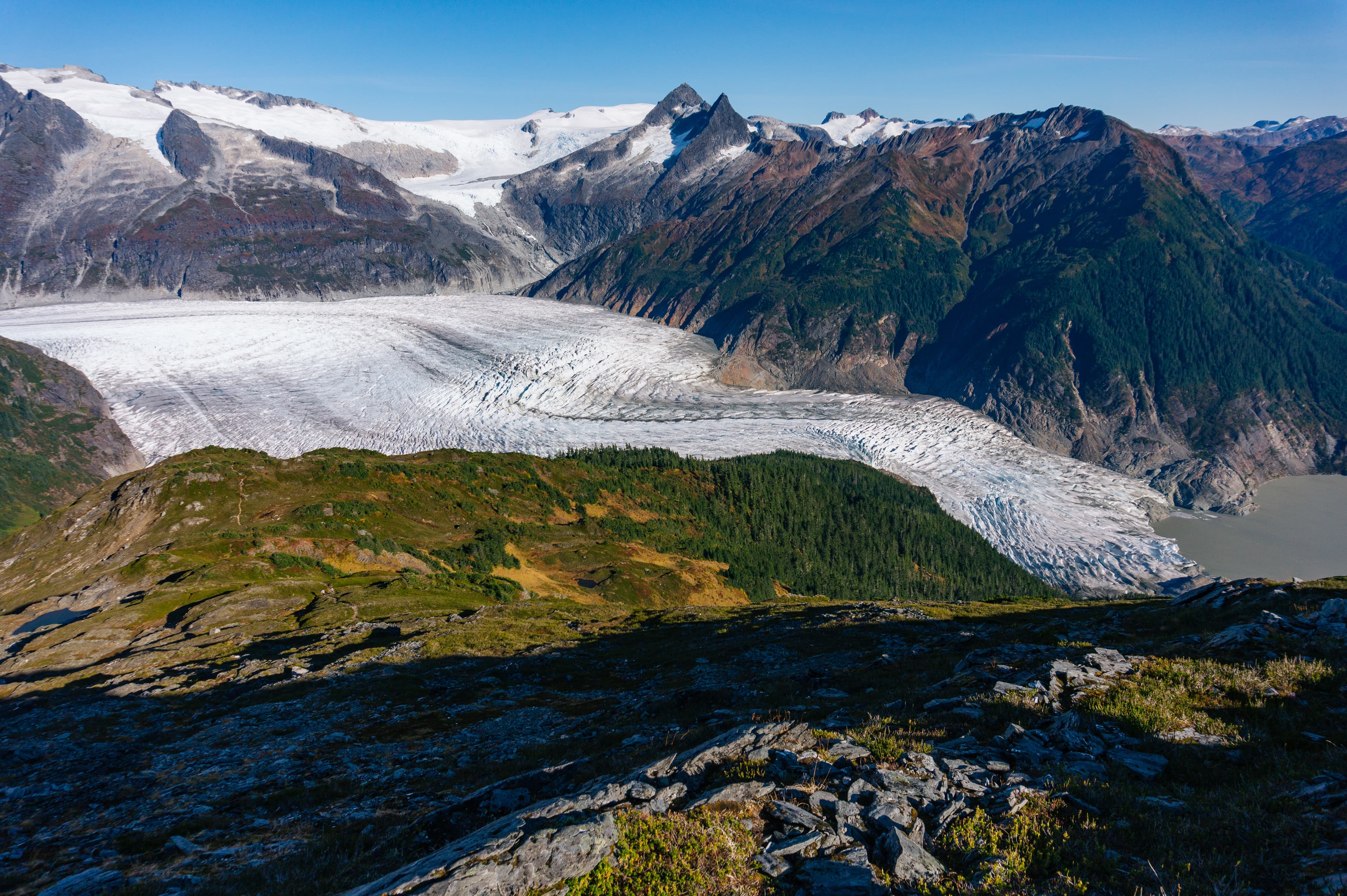 Mendenhall Glacier from Mt. McGinnis