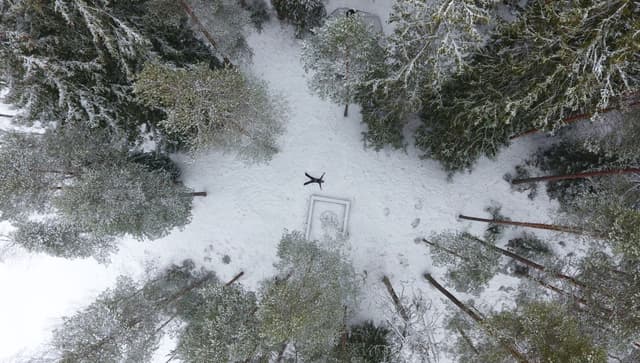 winter-wonderland-aerial-view