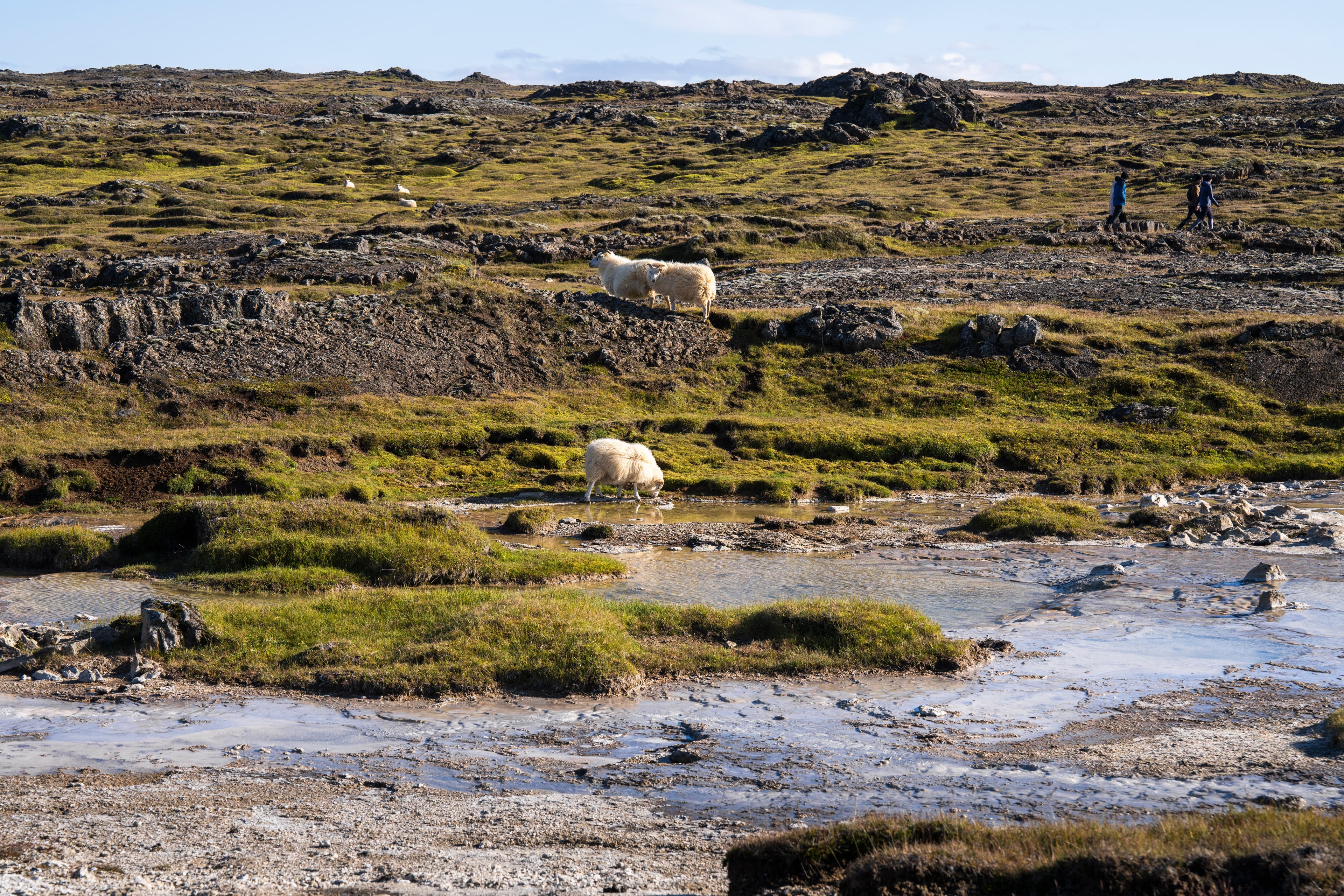 hveravellir