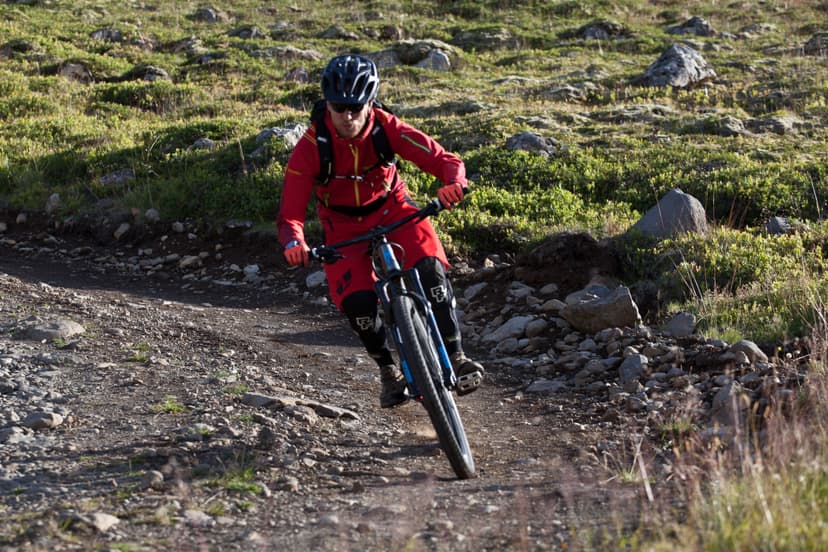 Biking-iceland