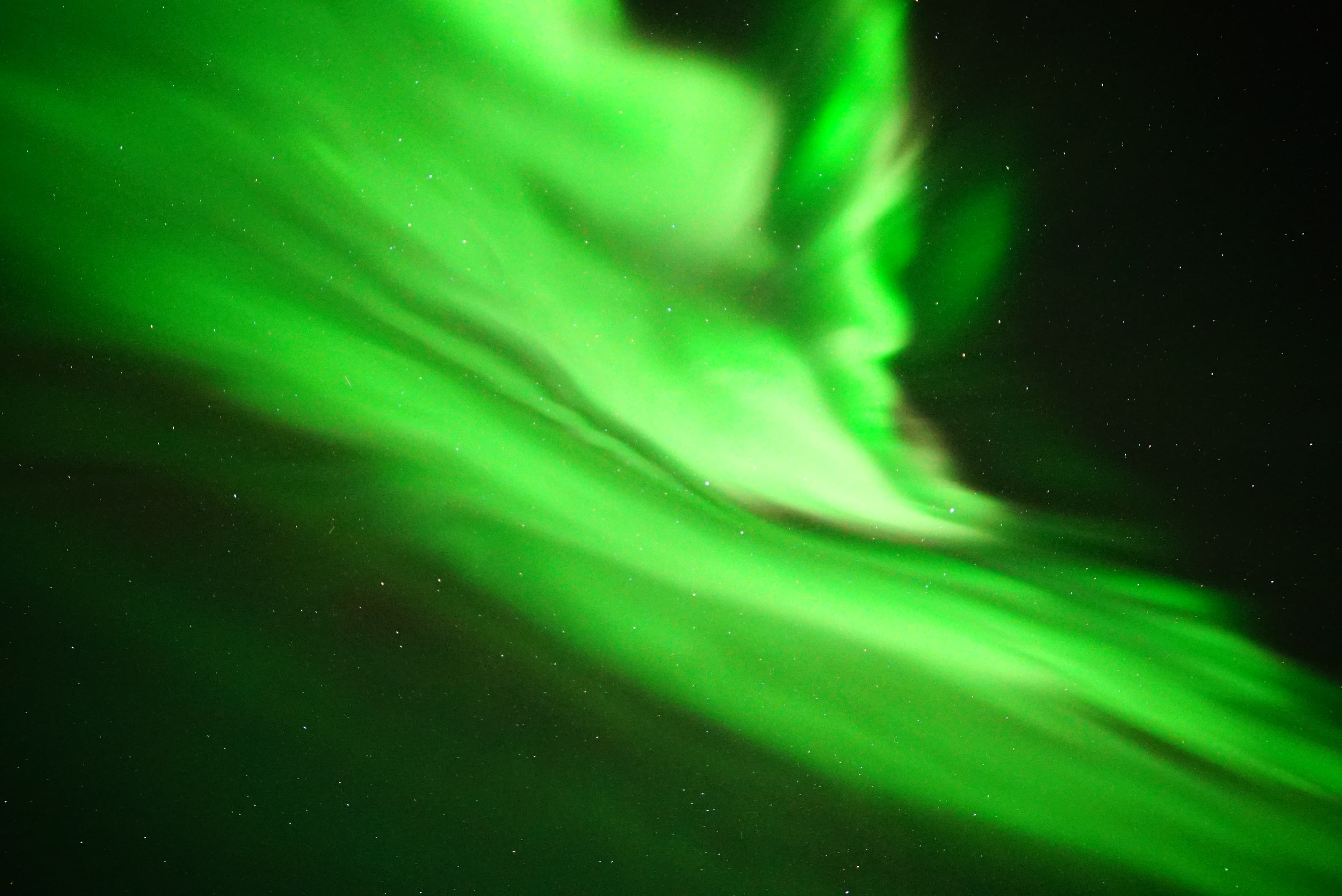 Northern-Lights-Iceland-Tour (19)
