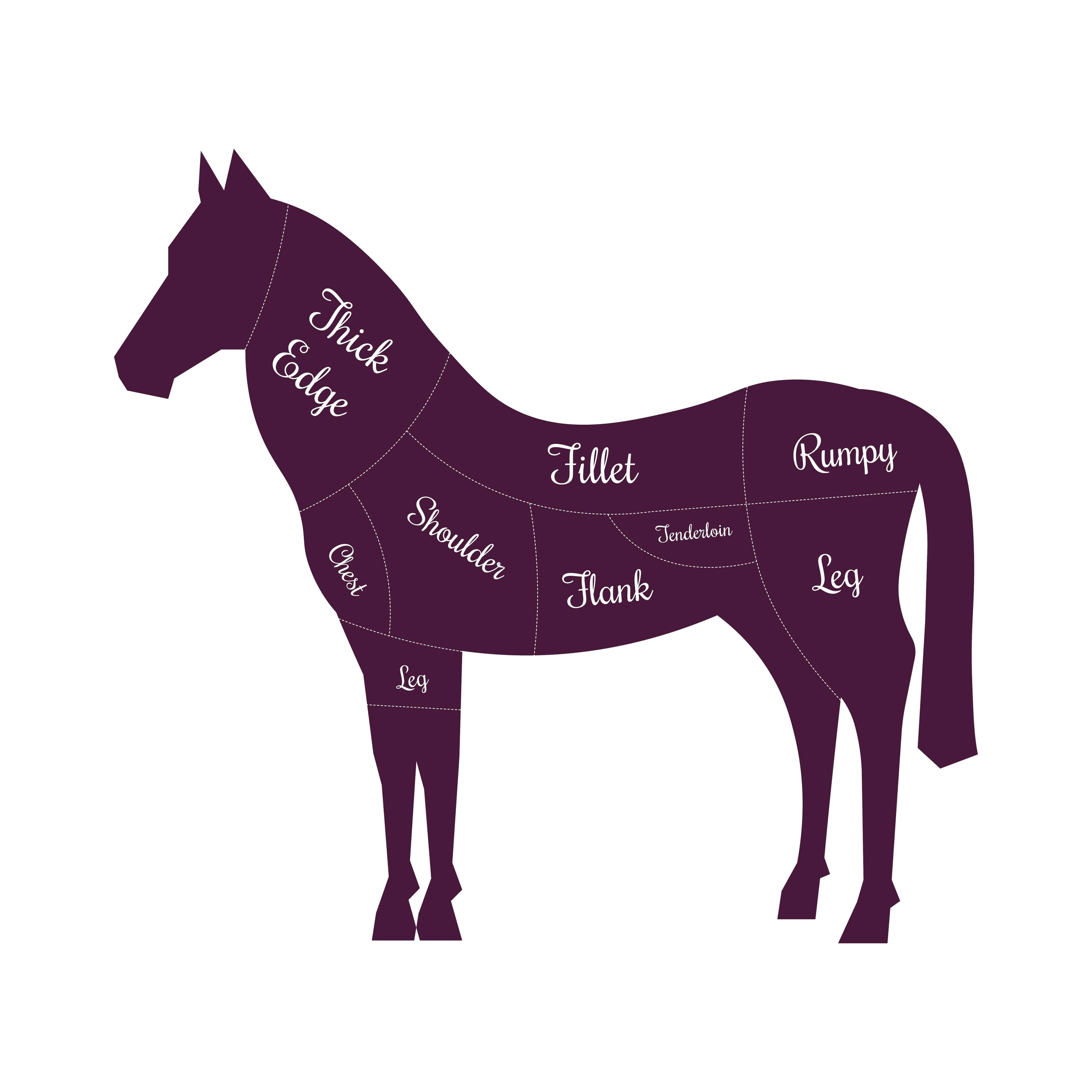 Horse meat cuts butcher vector icon