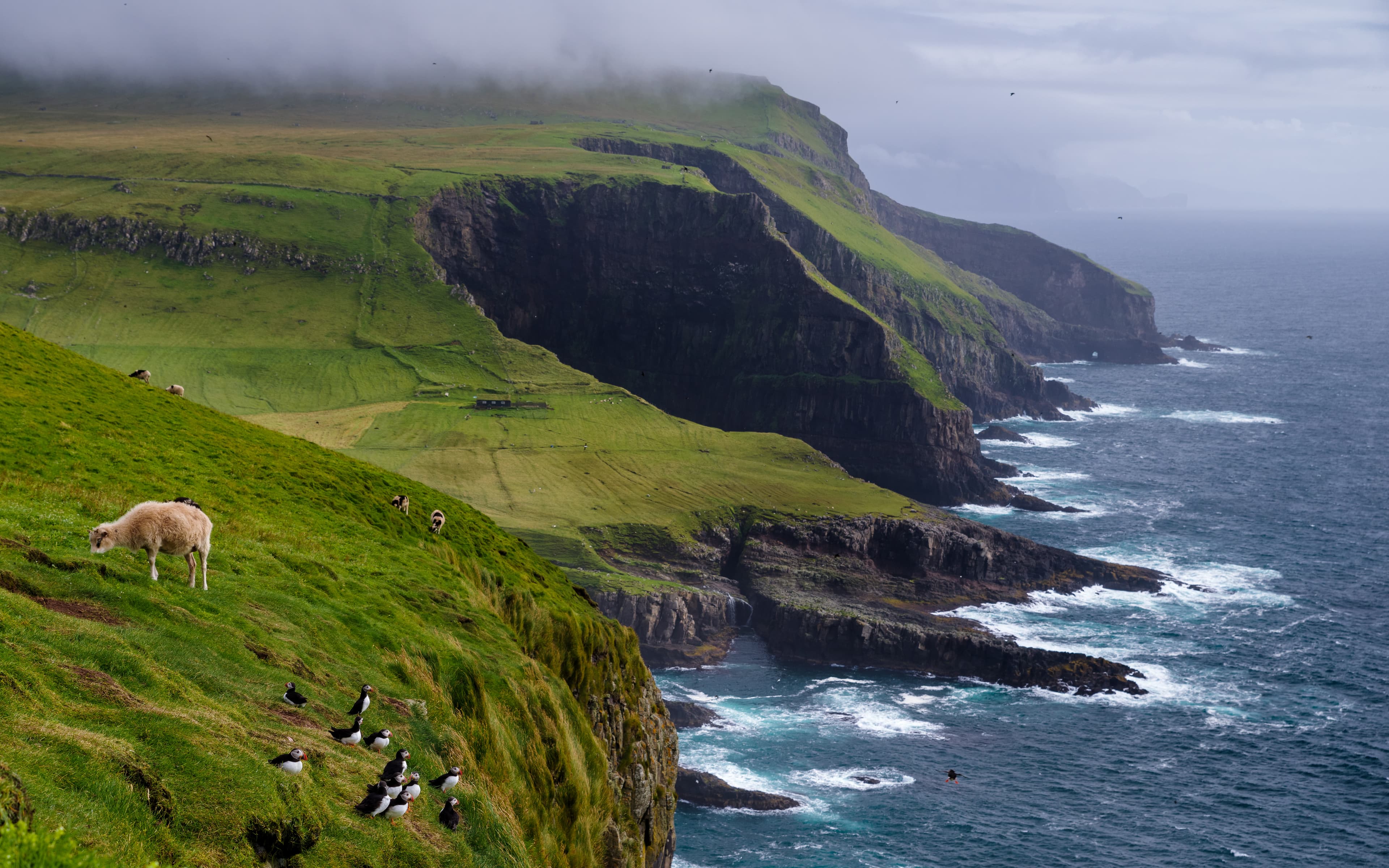 Inhabitants of the island Mykines