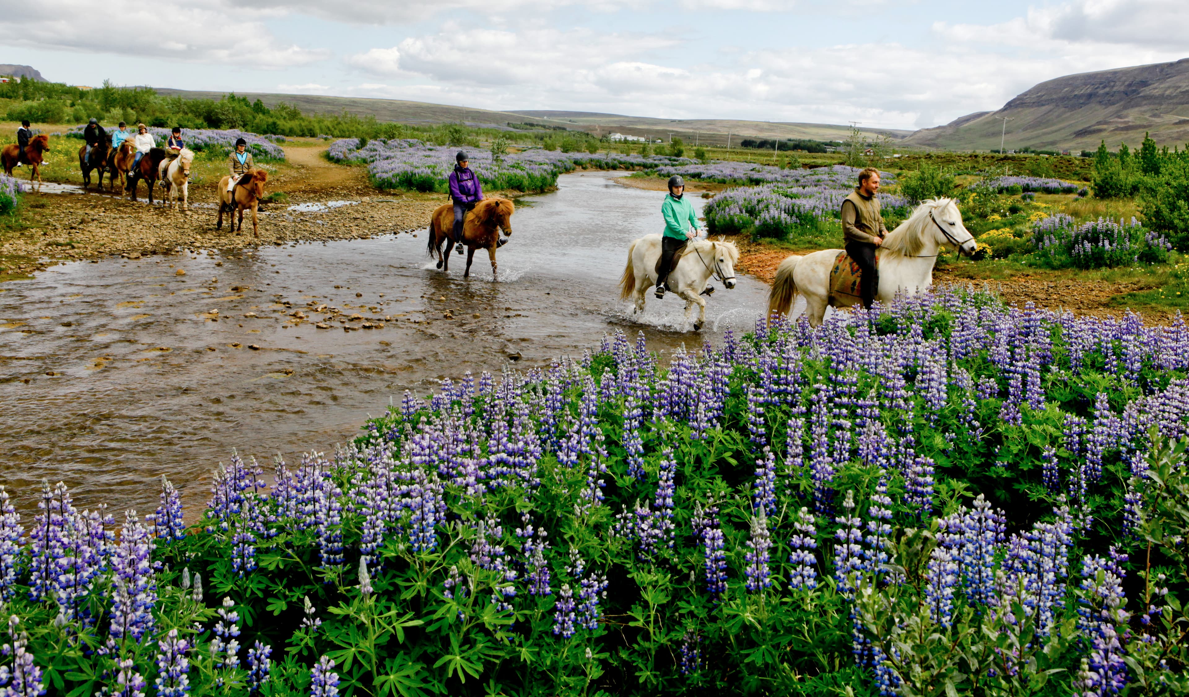 Horse-riding-iceland