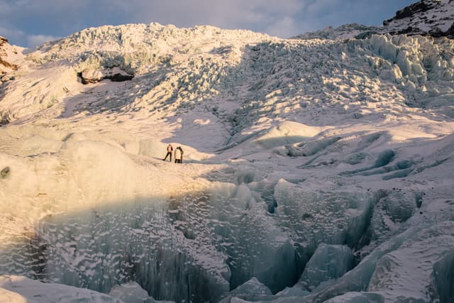 glacier tours 204