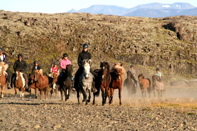 Horseback-riding-summer-iceland1