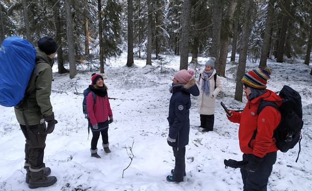 winter-wonderland-forest-hike