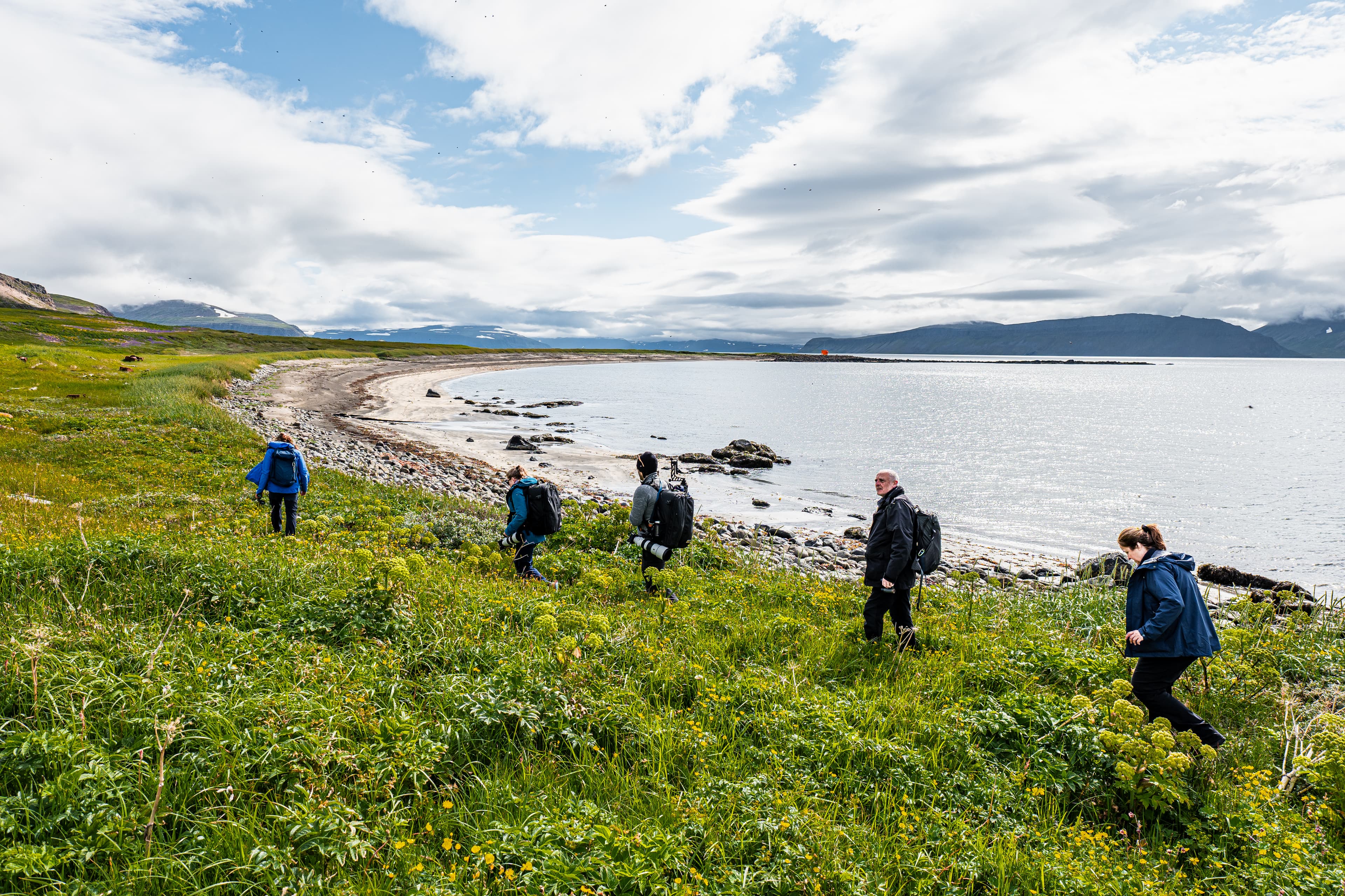 hiking-and-wildlife-watching-iceland
