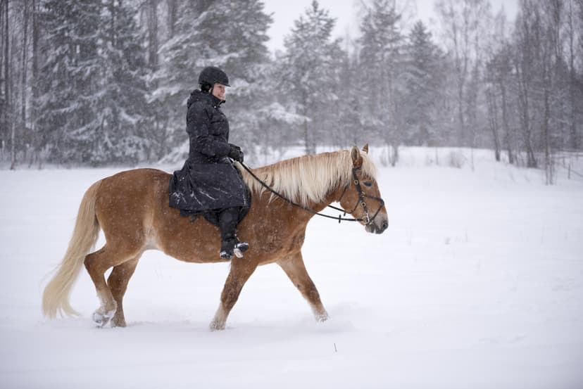 Woman horseback riding in forest